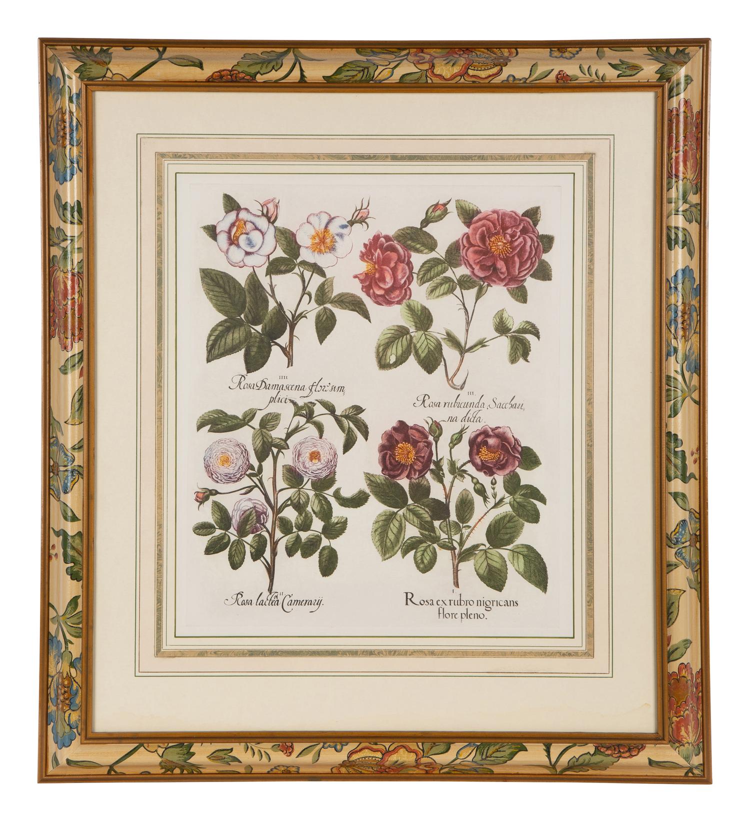 Two Pairs of Botanical Prints — 20TH CENTURY