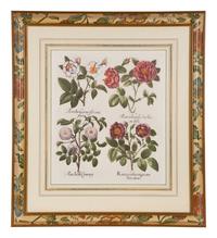 Two Pairs of Botanical Prints — 20TH CENTURY
