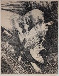 An Etching of a Weimaraner Image: 12 5/8 x 9 7/8 inches.