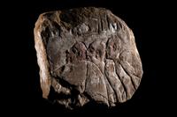 An Egyptian Painted Sandstone Relief Fragment