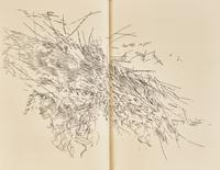 [Arion Press] [Mehretu, Julie] Poetry of Sappho