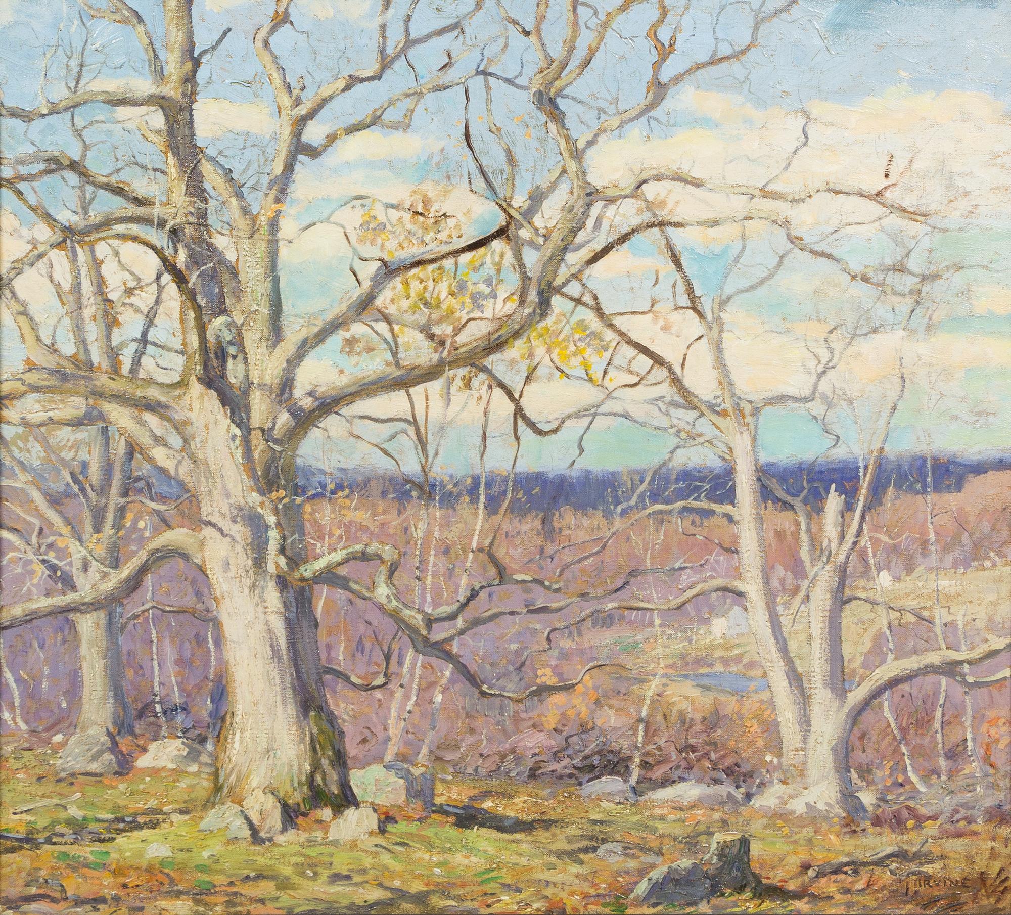 Wilson Henry Irvine, (American, 1869 - 1936), Branching Tracery, ca. 1916