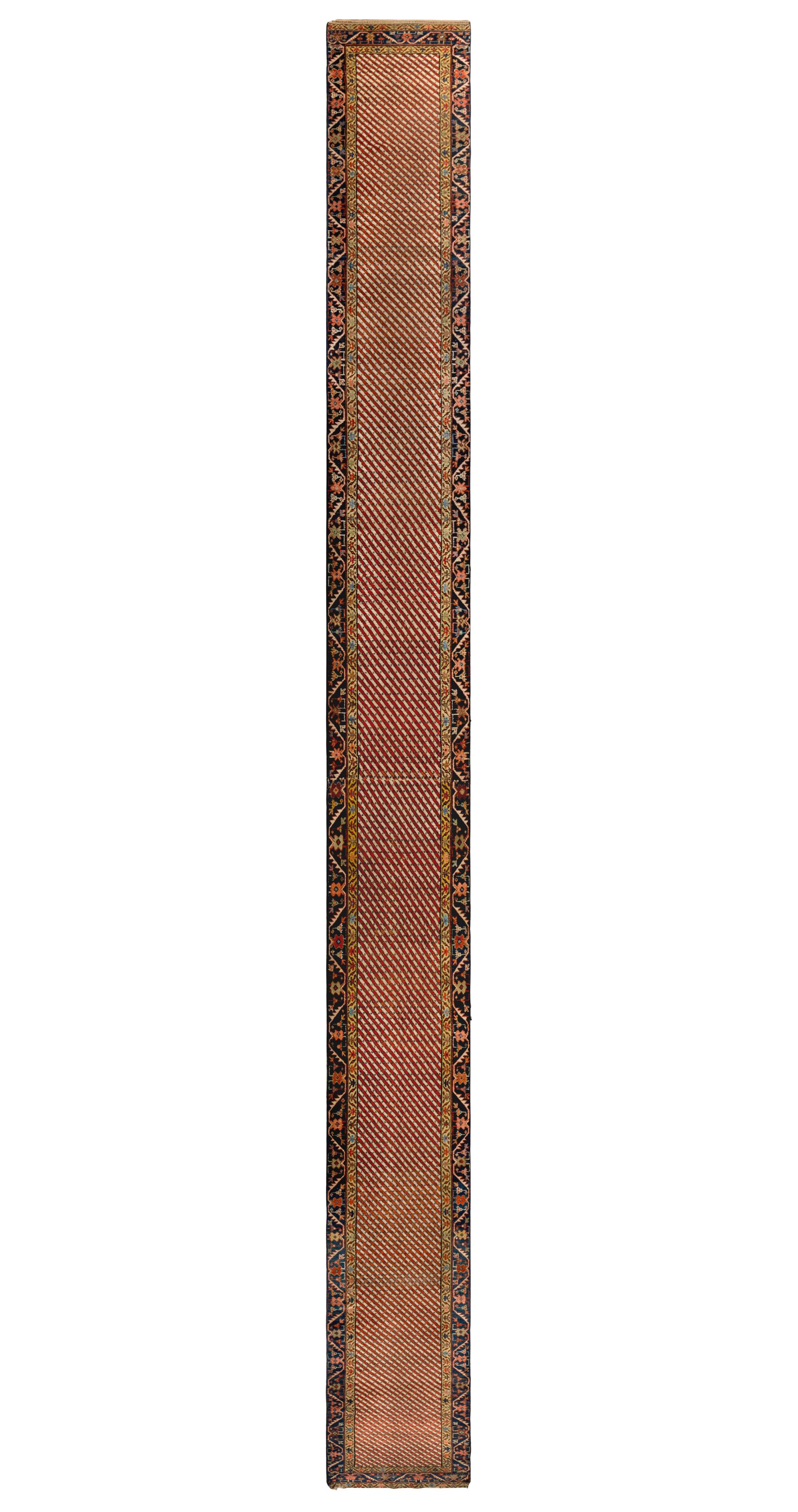 A Northwest Persian Runner