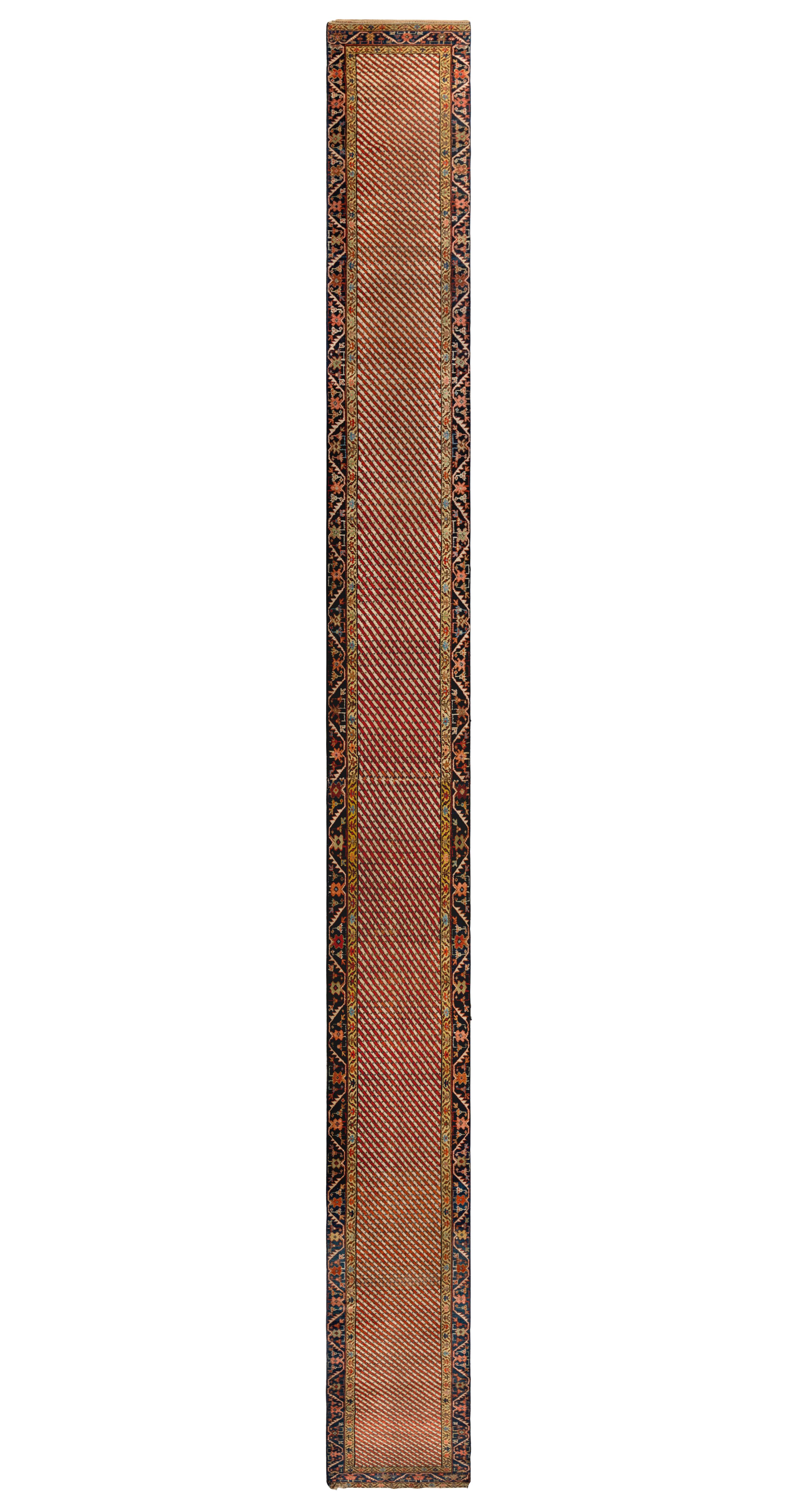 A Northwest Persian Runner