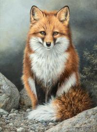 Fox Trail , 1997