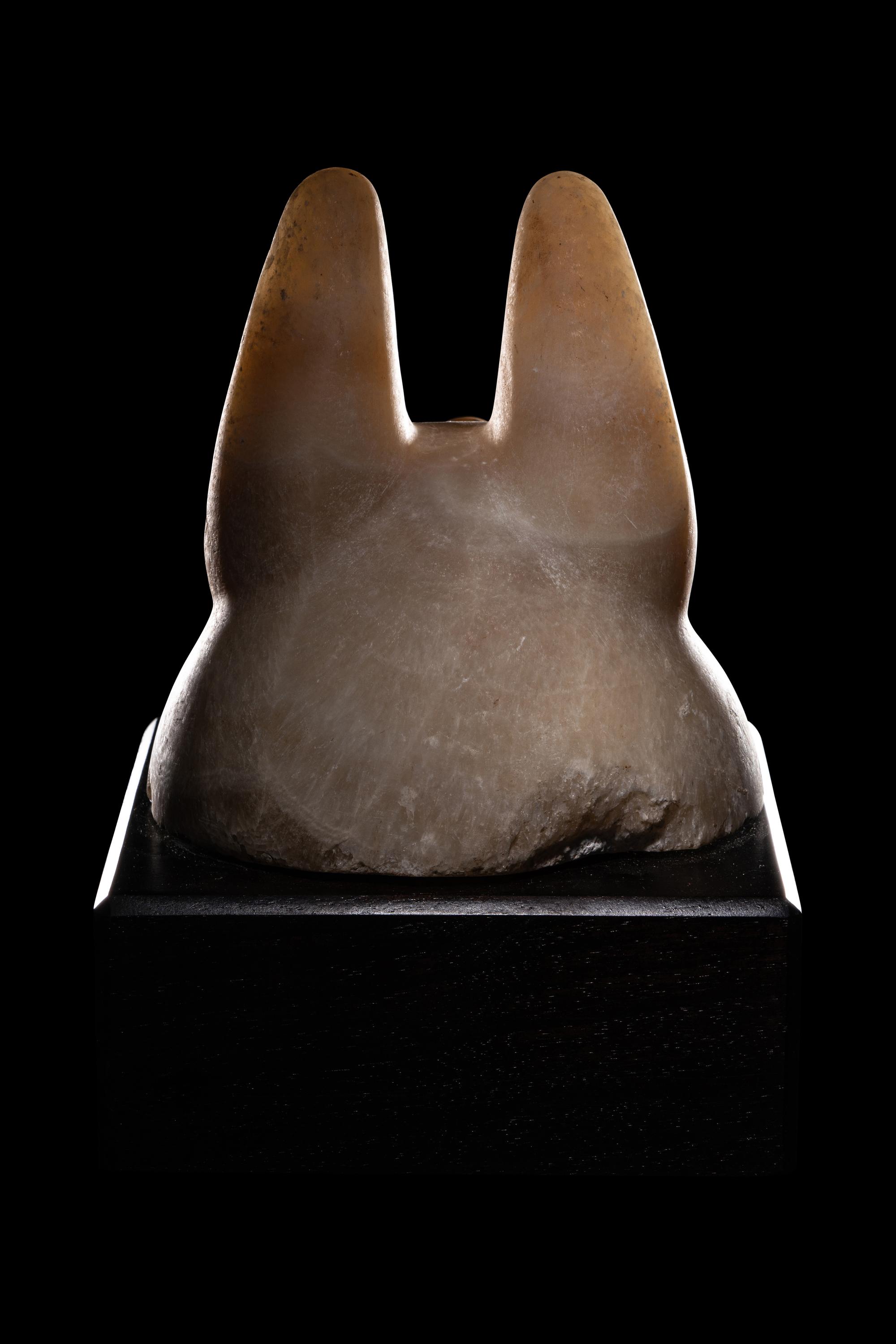 An Egyptian Alabaster Head of a Jackal
