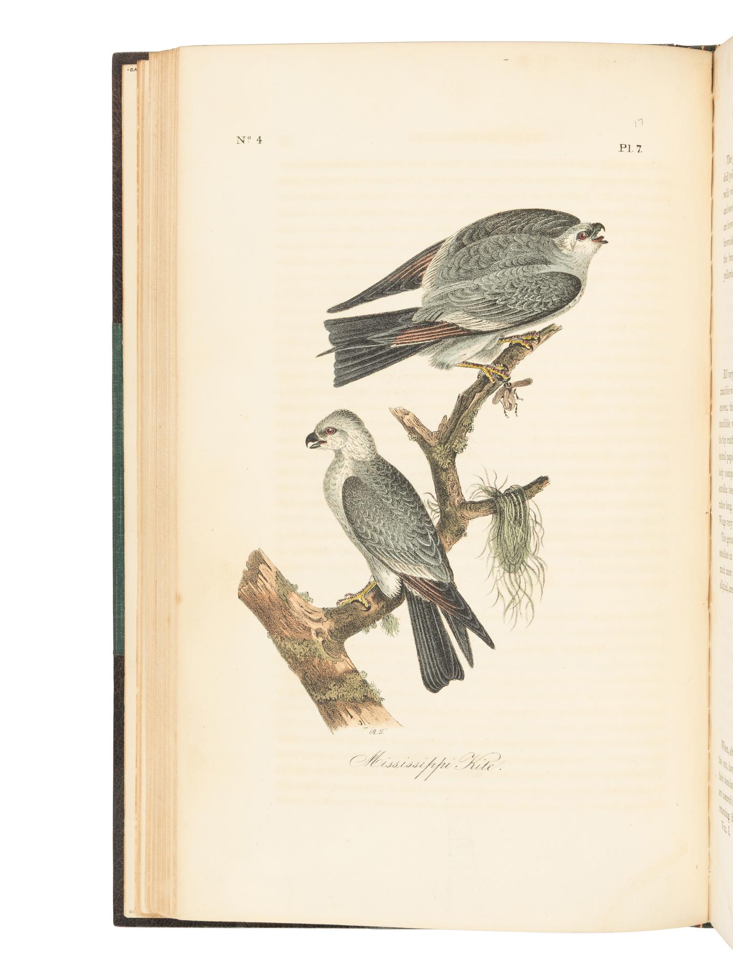 [AMERICANA]. AUDUBON, John James (1785-1851). The Birds of America, from Drawings Made in the United States and their Territories . New York and Philadelphia: J.J. Audubon and J.B. Chevalier, [1839-] 1840-1844.