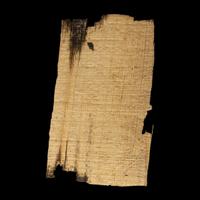 Two Coptic Papyri Fragments