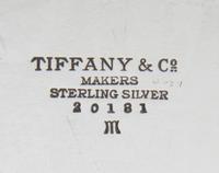 An American Silver Tray, Tiffany & Co., New York, NY, of oval form, the border with the engraved monogram EWE.