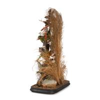 A Victorian Bird Taxidermy Diorama