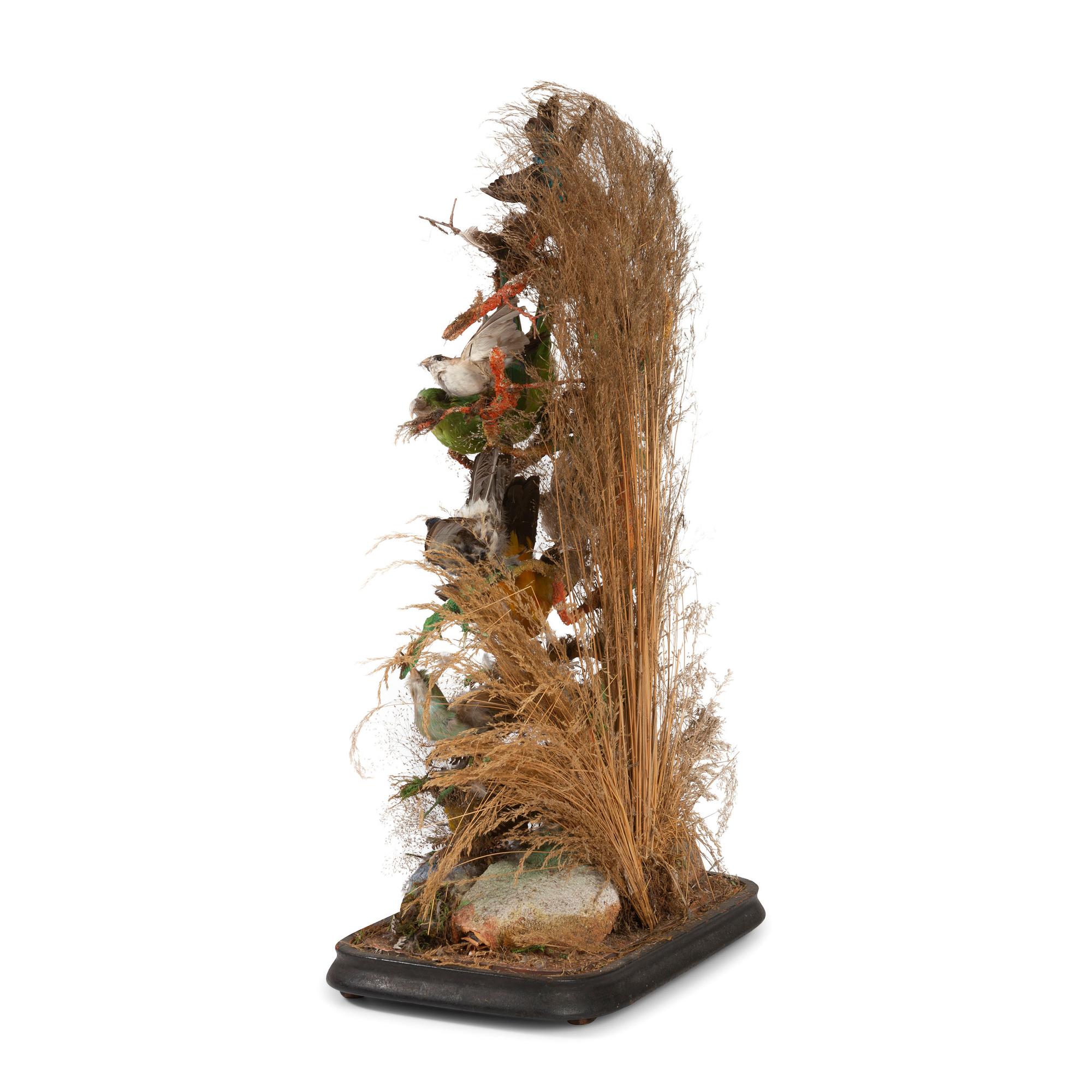 A Victorian Bird Taxidermy Diorama