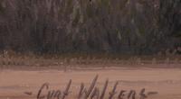 White House Ruins - Canyon De Chelley