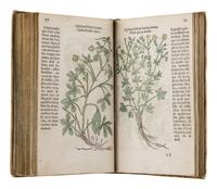 FUCHS, Leonhart (1501-1566). Histoire des Plantes de M. Leonhart Fuschsius, avec les noms Grecs, Latins & Fraçoys . Paris: Arnold Byrkman, 1549.