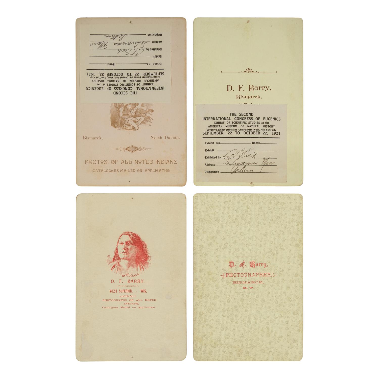 Portraits of Sioux, including Bull Head and Circling Bear