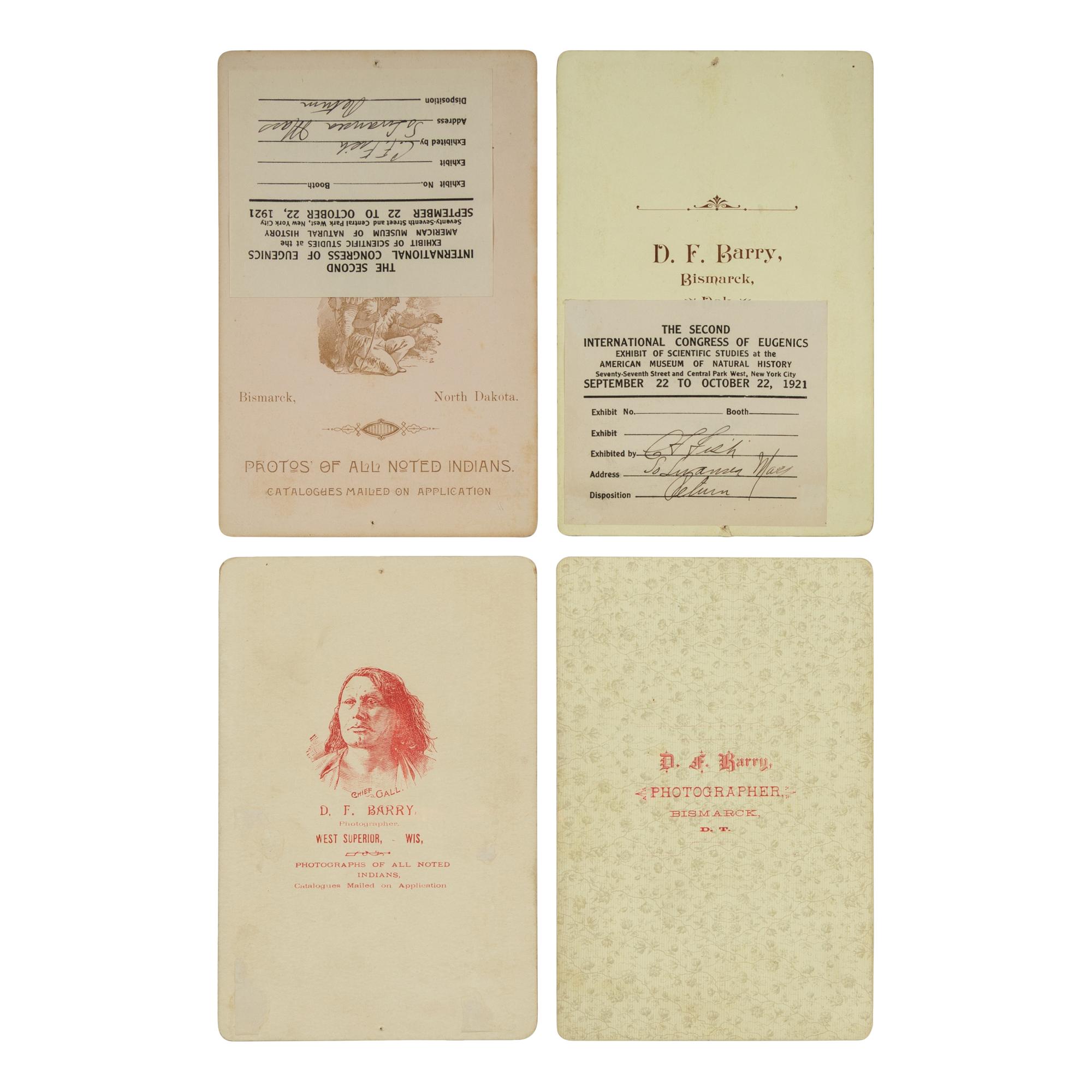 Portraits of Sioux, including Bull Head and Circling Bear