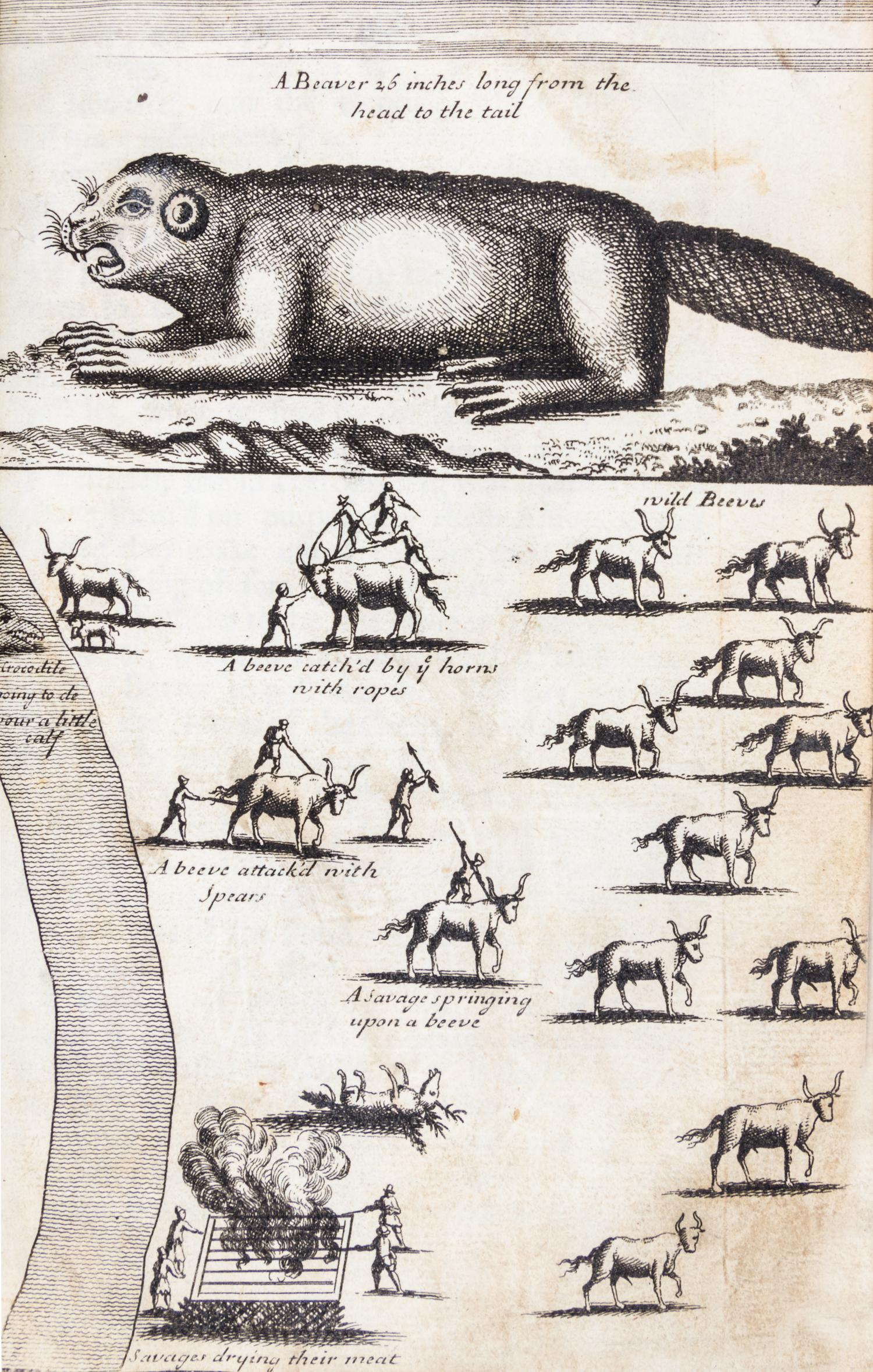 LAHONTAN, LOUIS ARMAND. New Voyages to North America. London, 1703. First English-language edition. 2 vols.