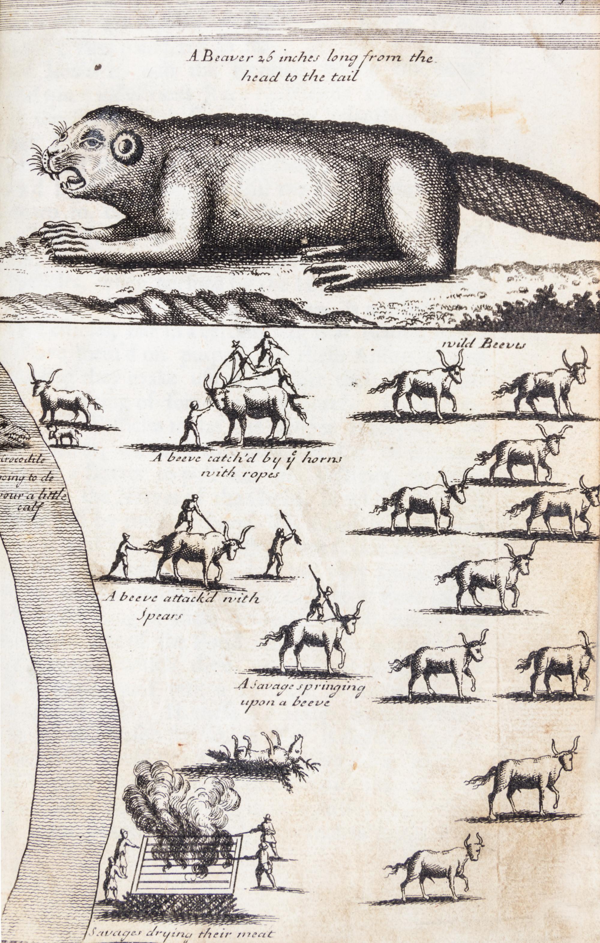 LAHONTAN, LOUIS ARMAND. New Voyages to North America. London, 1703. First English-language edition. 2 vols.