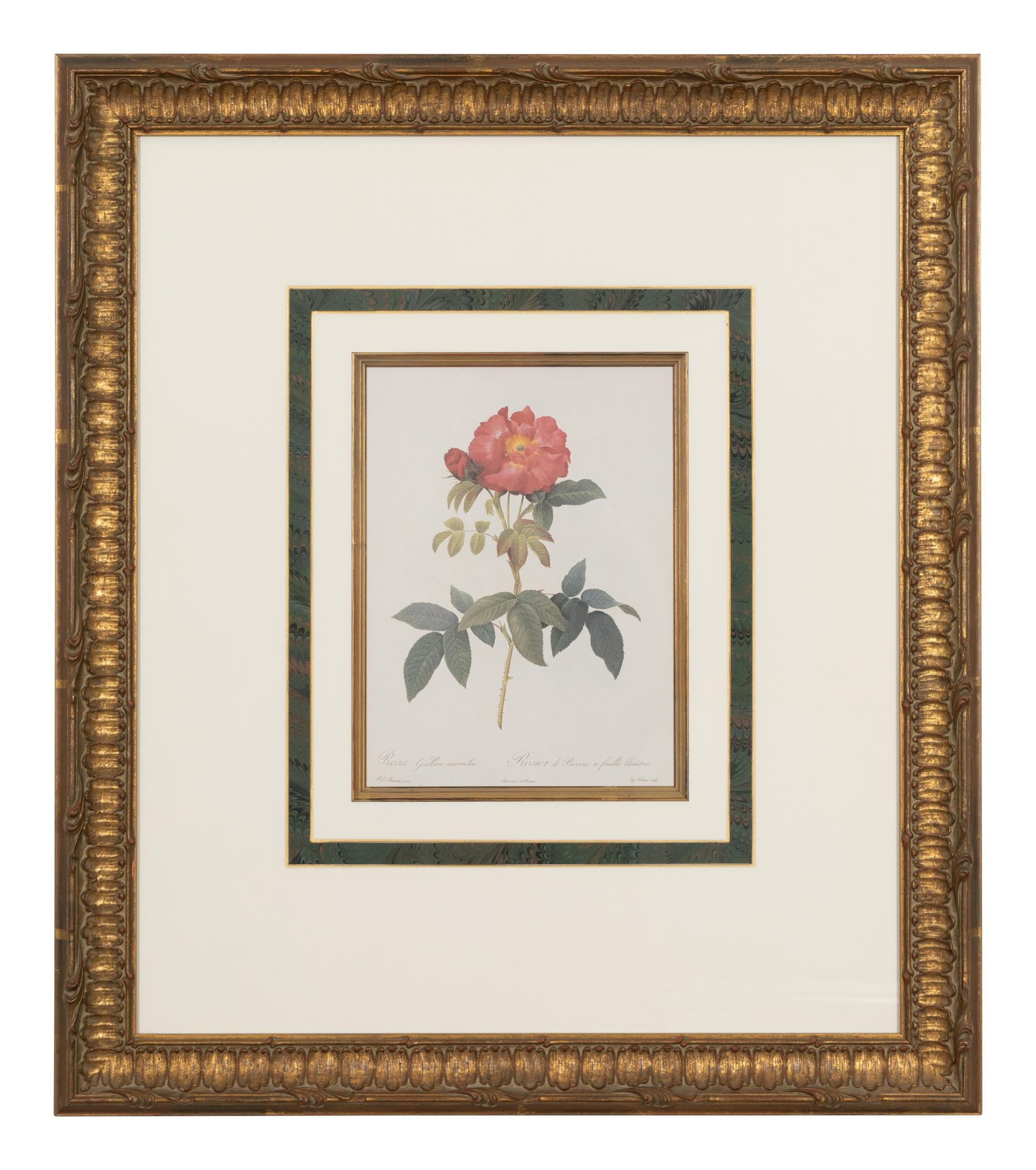 A Set of Six Chromolithographs of Roses after Pierre Joseph Redouté