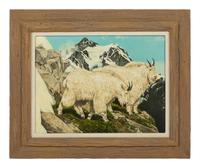 Mt. Goats