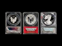 A Collection of Twenty-Seven ANACS Graded PR70 Silver Eagle $1 Proof and Reverse Proof Coins