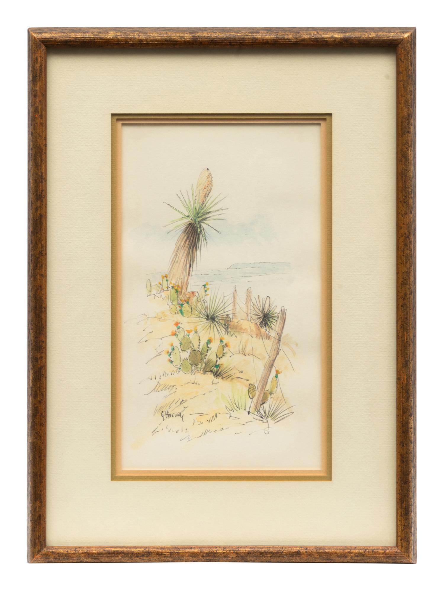 Yucca Country