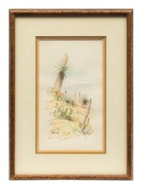 Yucca Country