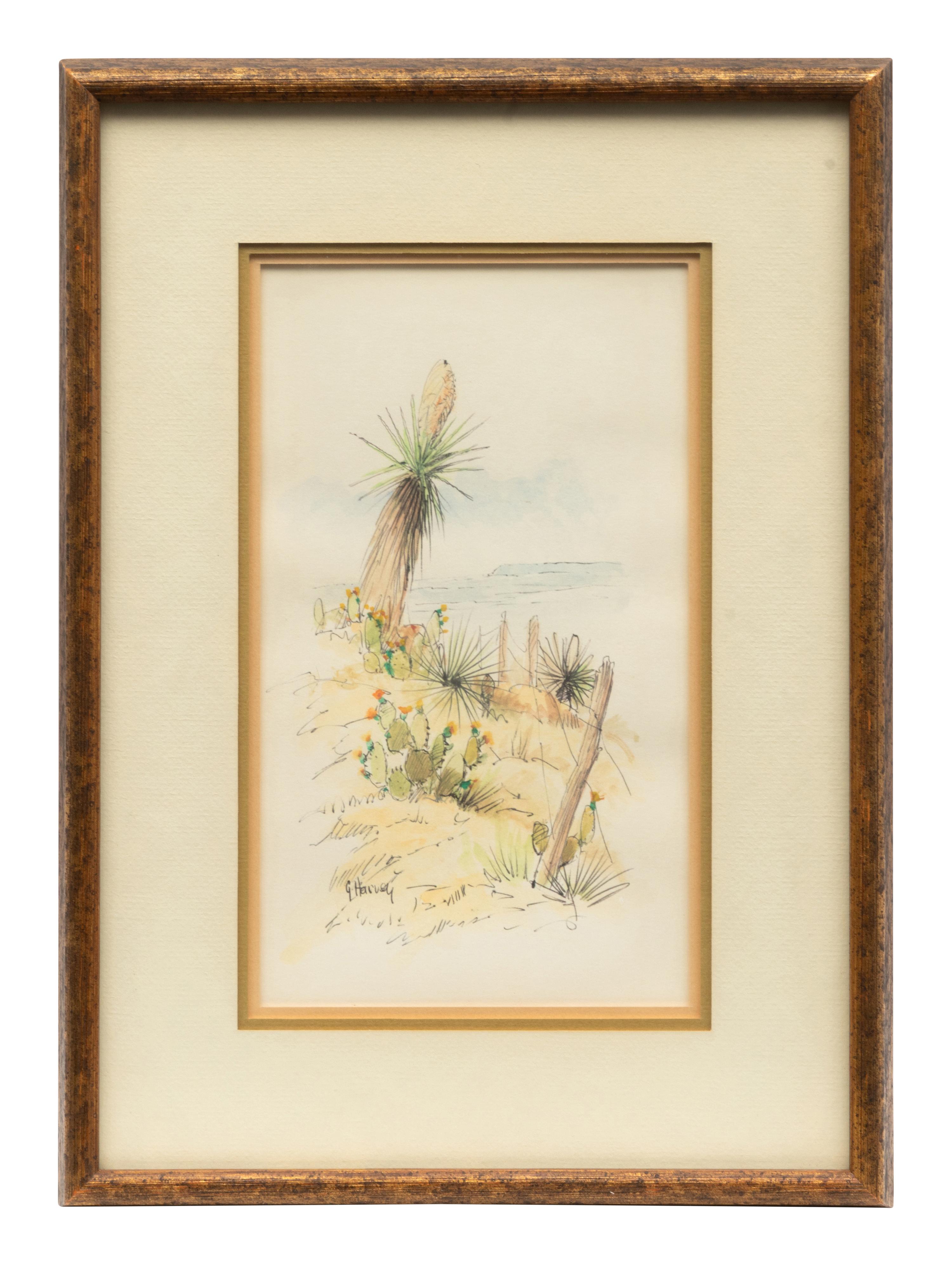 Yucca Country