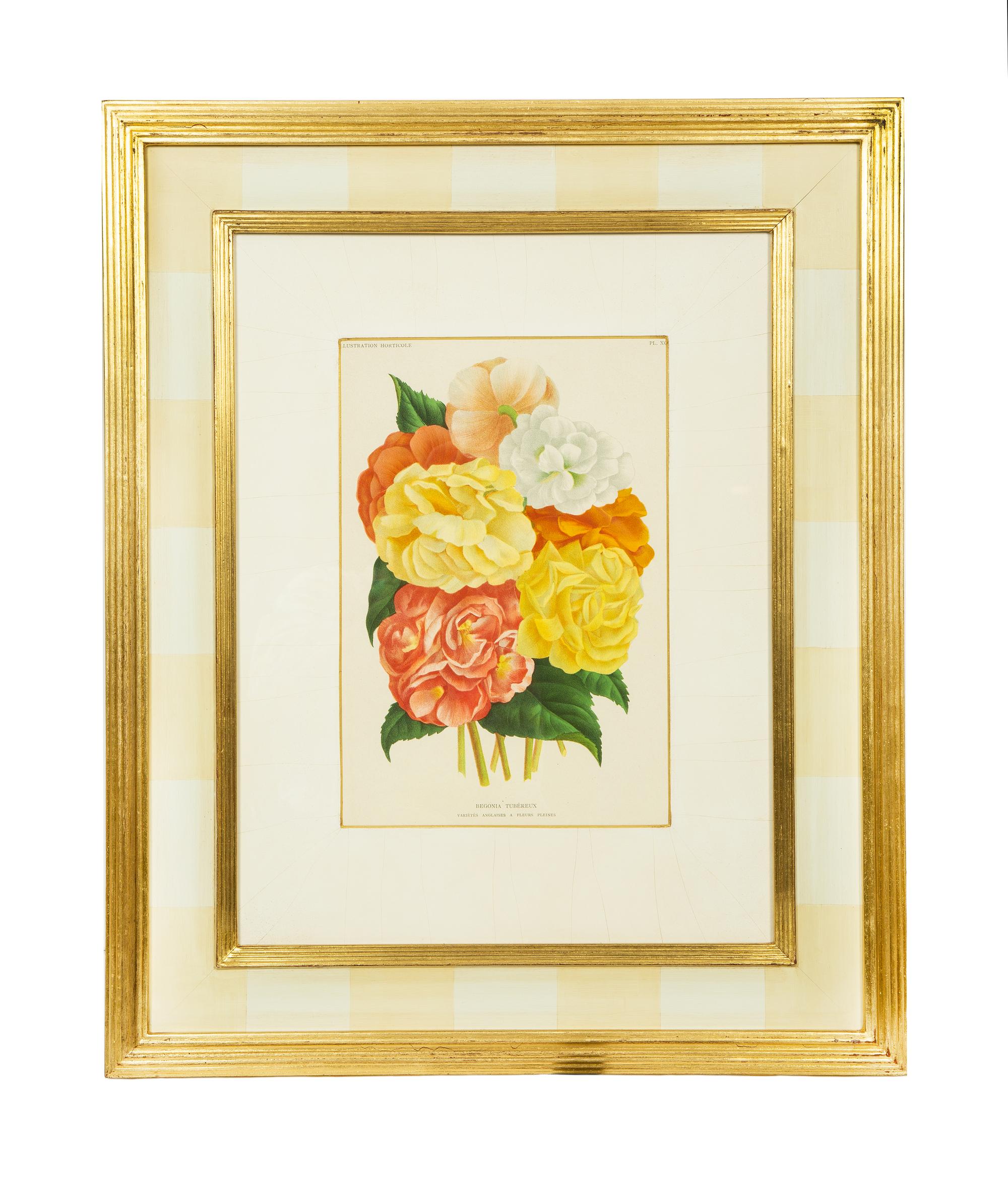 Seven Gilt Framed Botanical Chromolithgraphs After J. Linden and Others — 20TH CENTURY