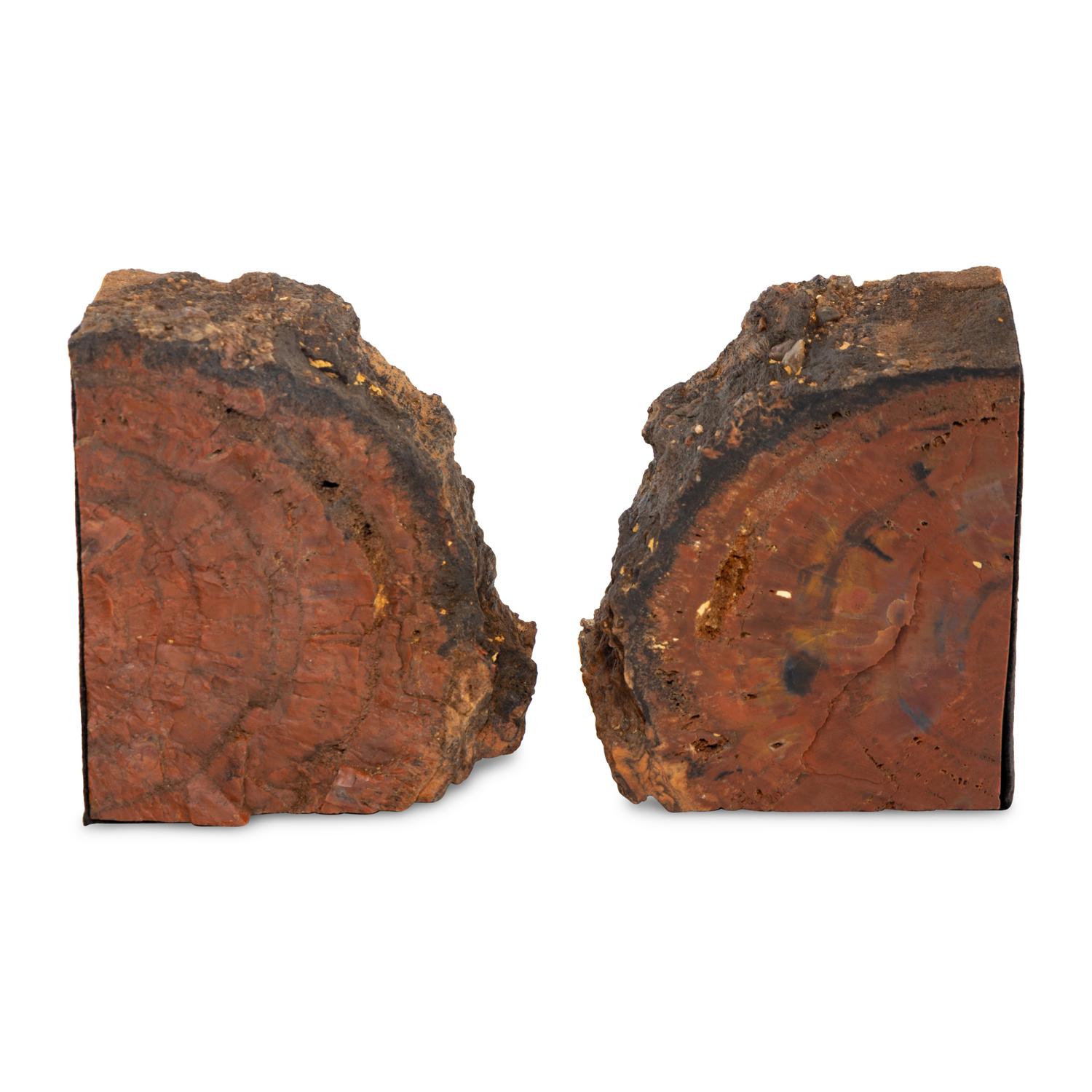 A Pair of Petrified Wood Bookends