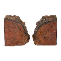 A Pair of Petrified Wood Bookends