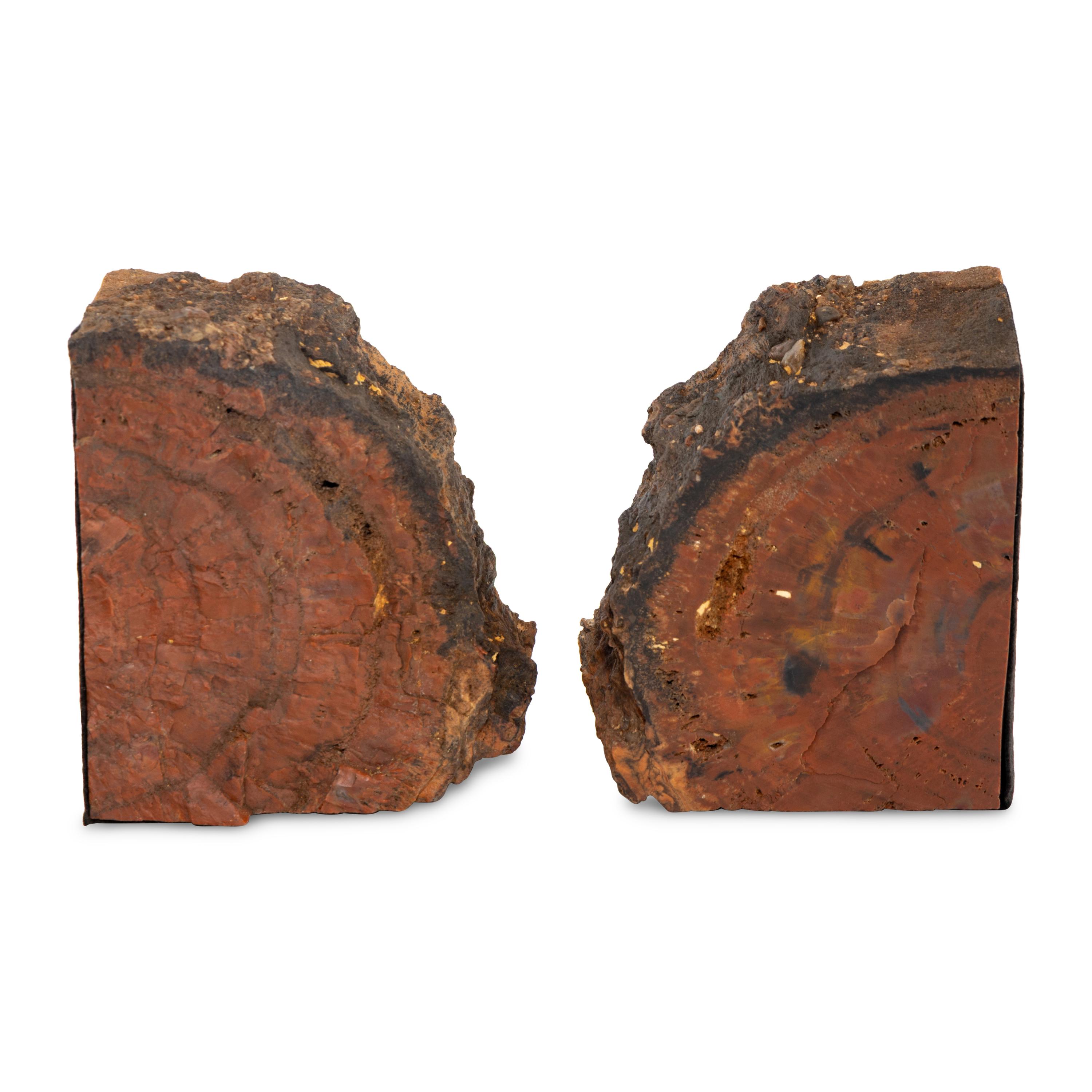 A Pair of Petrified Wood Bookends