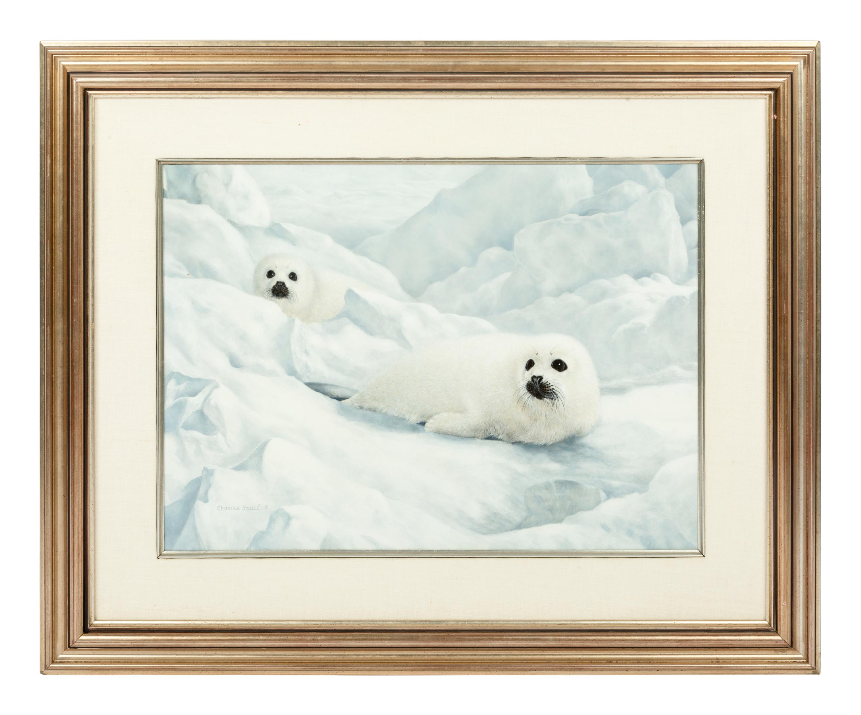 Harp Seals