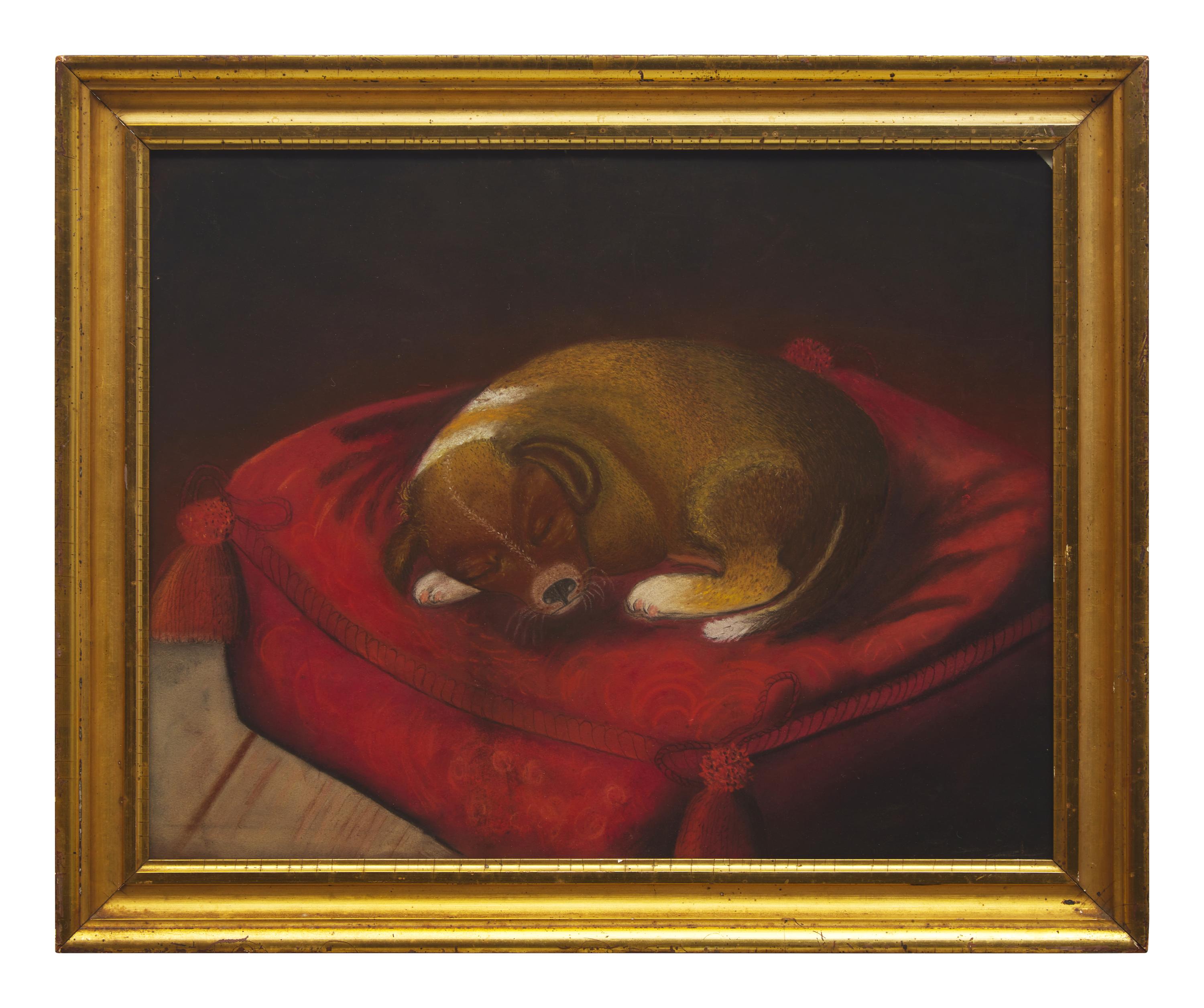 American School 19th Century, A Sleeping Puppy