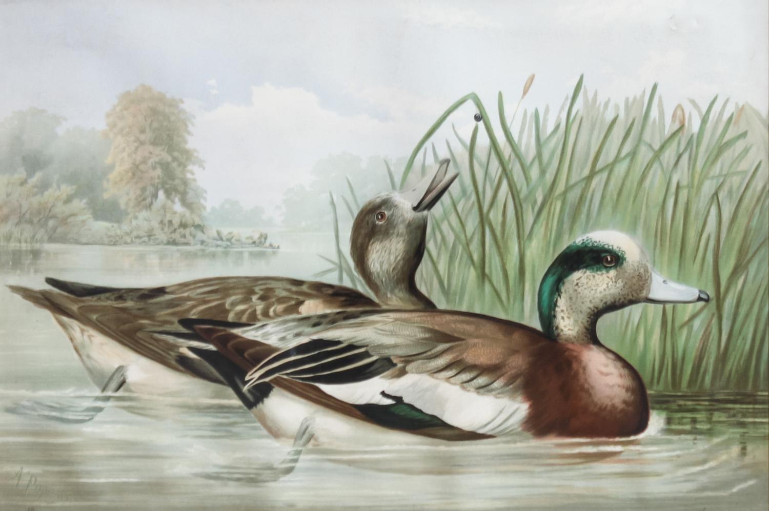 Alexander Pope Jr., (American, 1849-1924), chromolithograph Upland Game Birds and Waterfowl of the United States portfolio of 22 prints