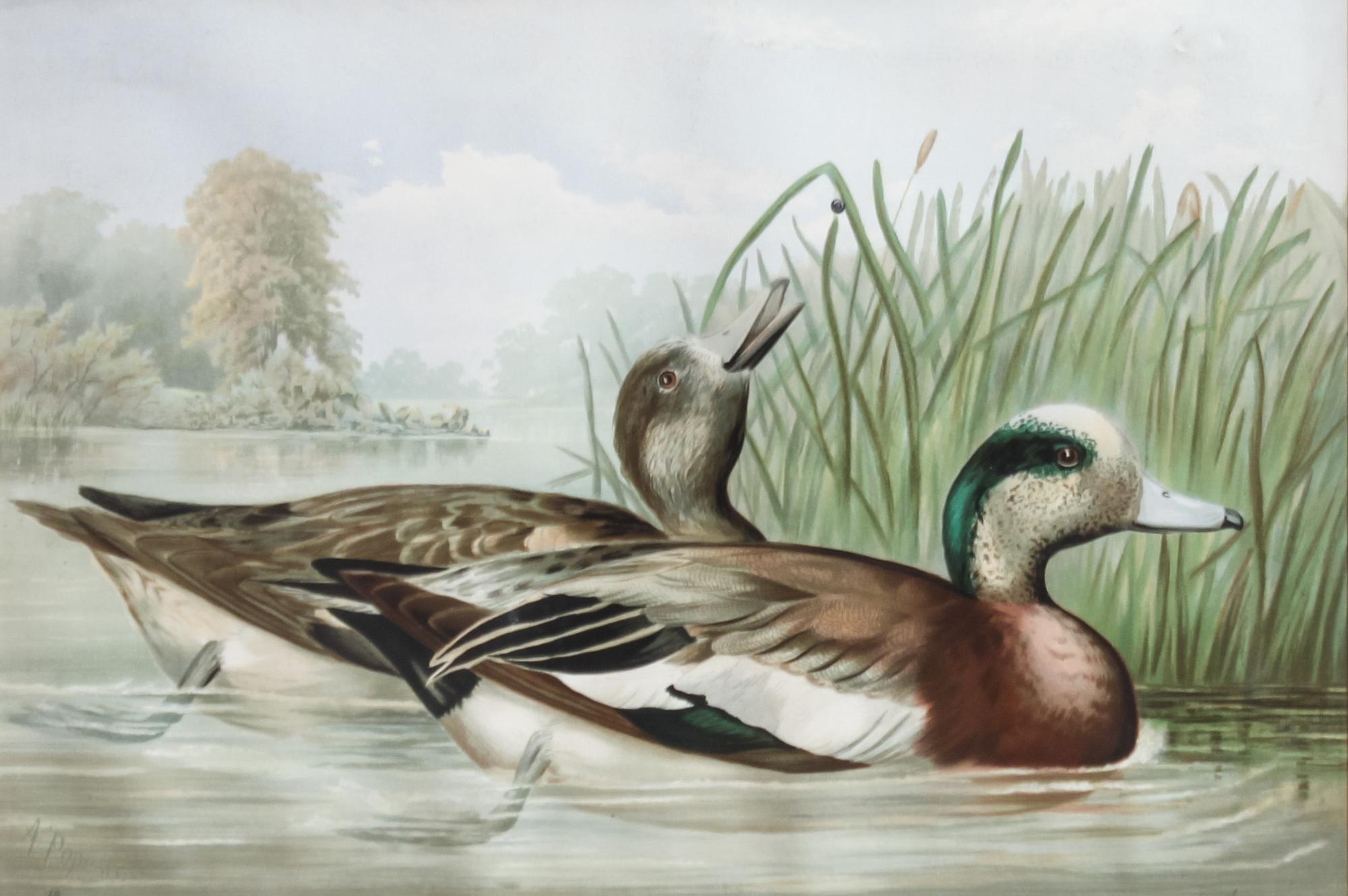Alexander Pope Jr., (American, 1849-1924), chromolithograph Upland Game Birds and Waterfowl of the United States portfolio of 22 prints