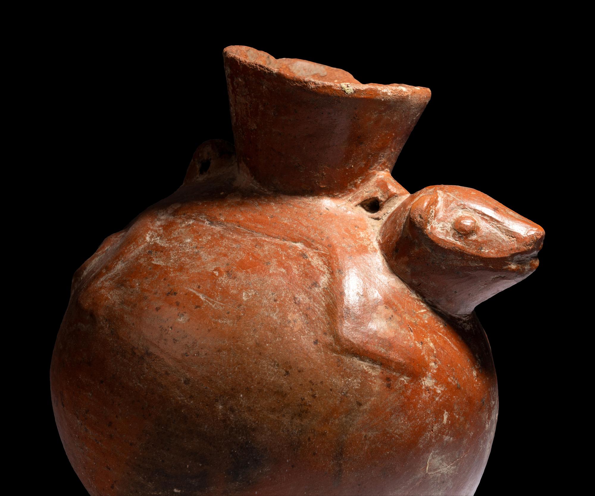 A Chimu Animal Effigy Vessel