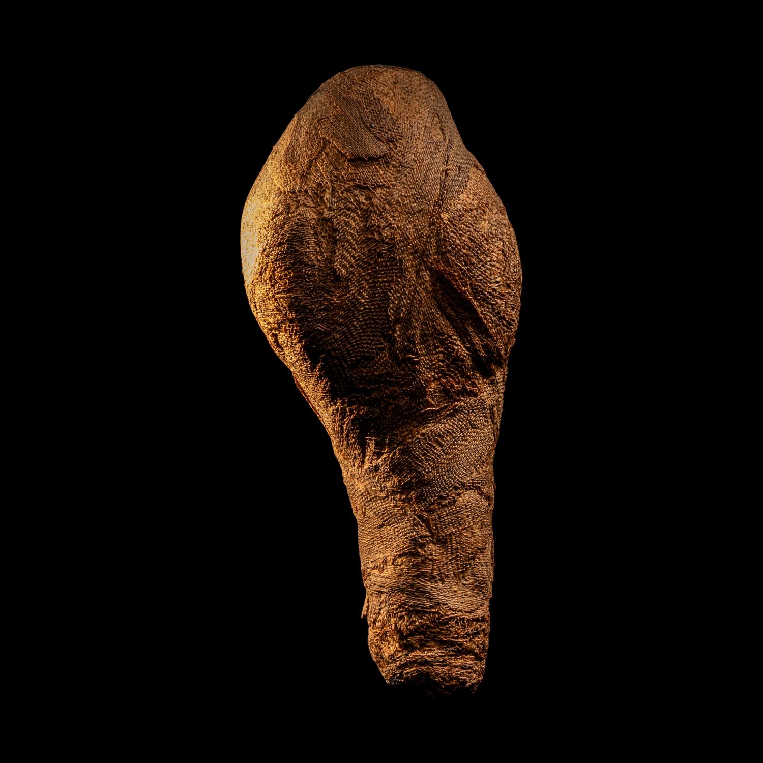 An Egyptian Mummified Falcon