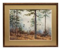 Quail in Pine Forest