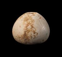 A Near Eastern Limestone Mace Head