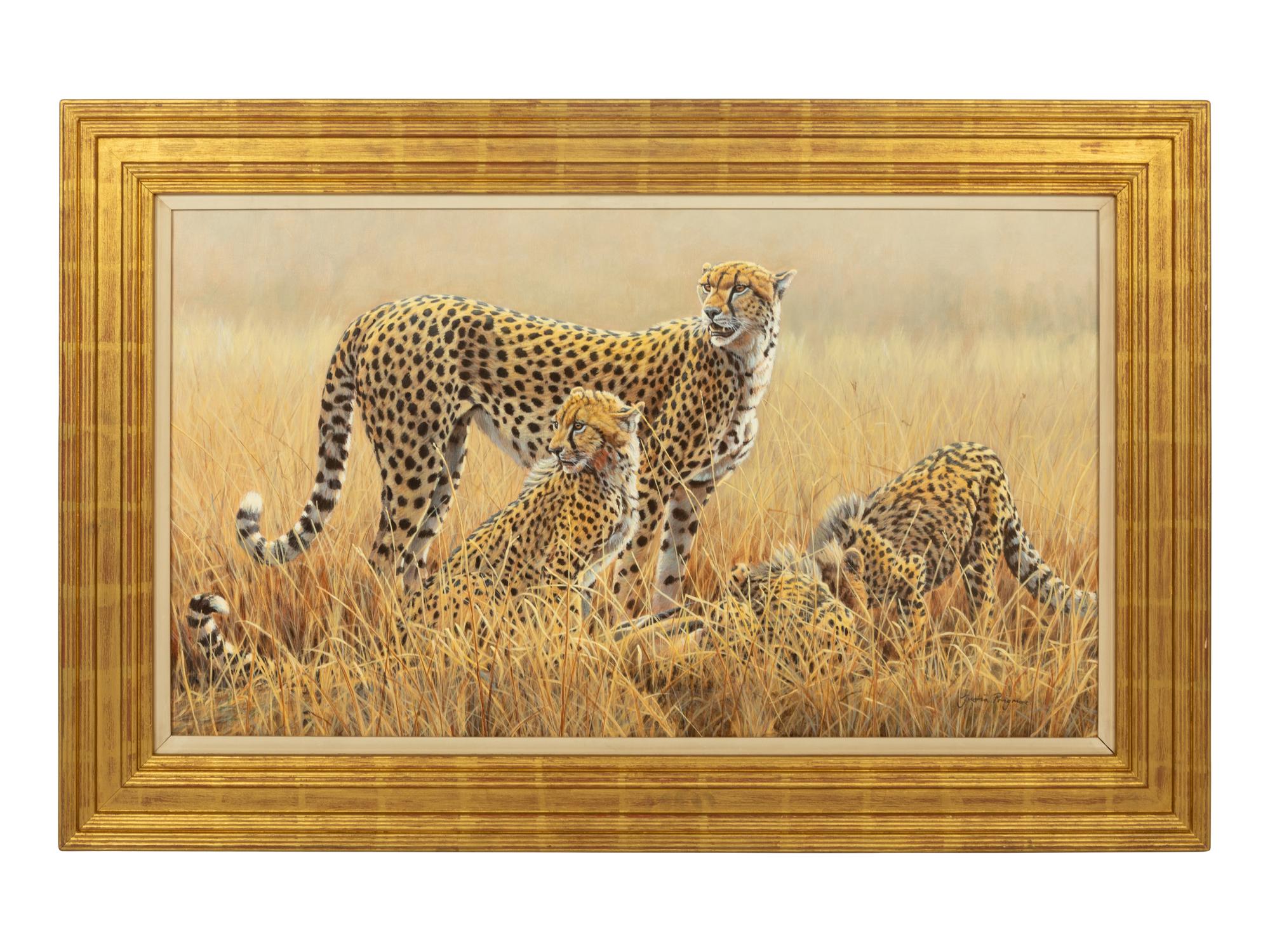 Watching for Scavengers - Cheetah , 2007