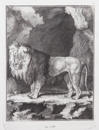 A Collection of Twenty Framed Black & White Animal Prints Framed size 21 3/4 x 19 1/2 inches. — 20TH CENTURY