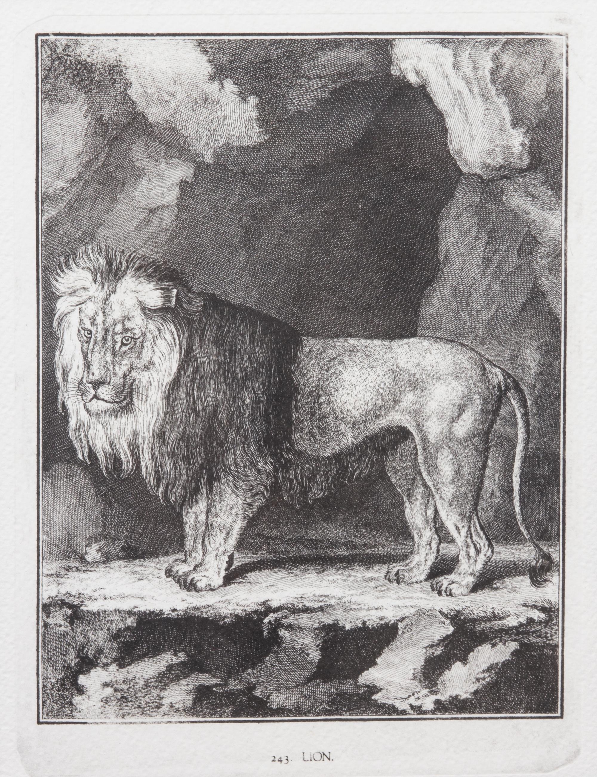 A Collection of Twenty Framed Black & White Animal Prints Framed size 21 3/4 x 19 1/2 inches. — 20TH CENTURY