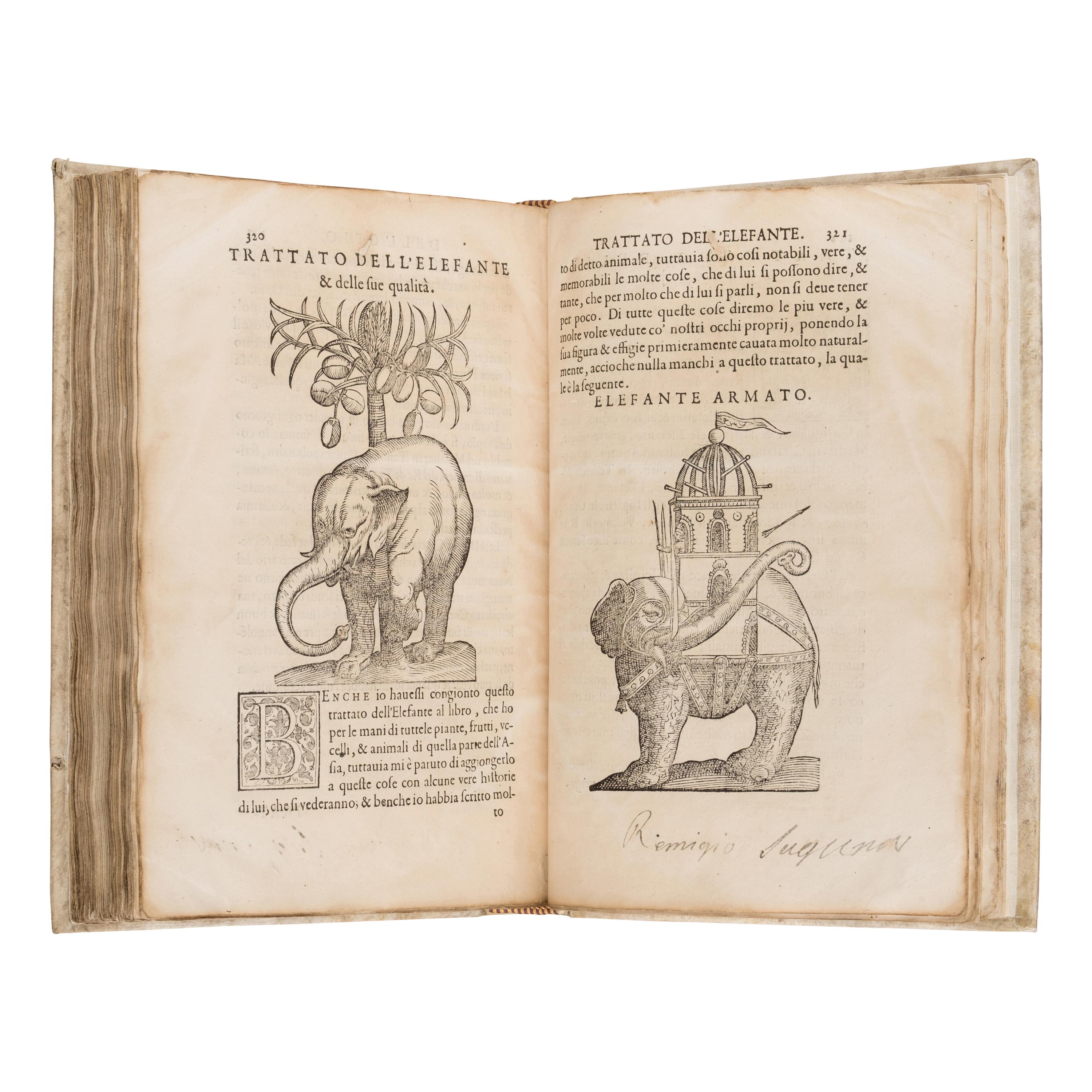 Acosta, Cristóbal (1525-1594). Trattato di Christoforo Acosta Africano Medico, & Chirurgo della Historia, Natura, et Virtu delle Droghe Medicinali... Venice: Francesco Ziletti, 1585.