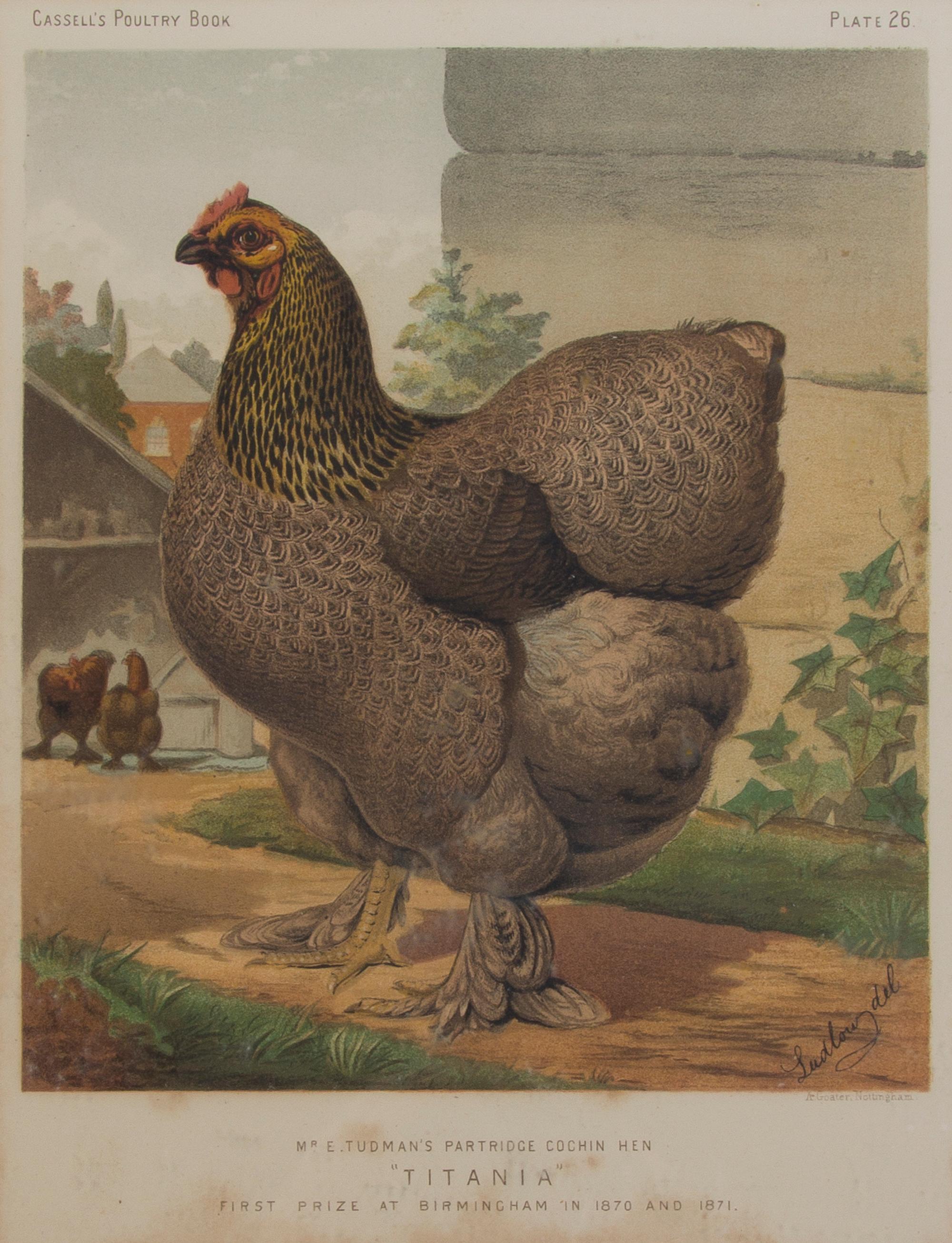 Twelve English Handcolored Engravings, Height of first 9 1/2 x width 7 1/8 inches (visible).