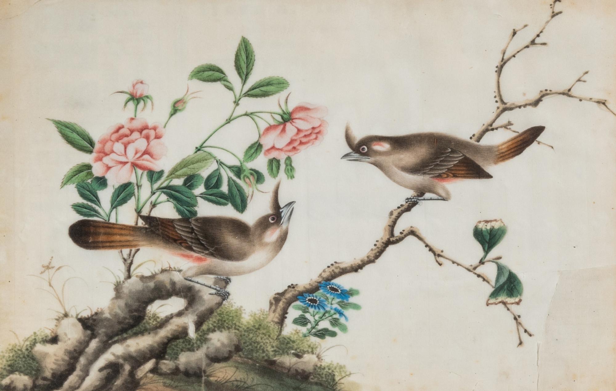 Six Chinese Export Pith Paintings