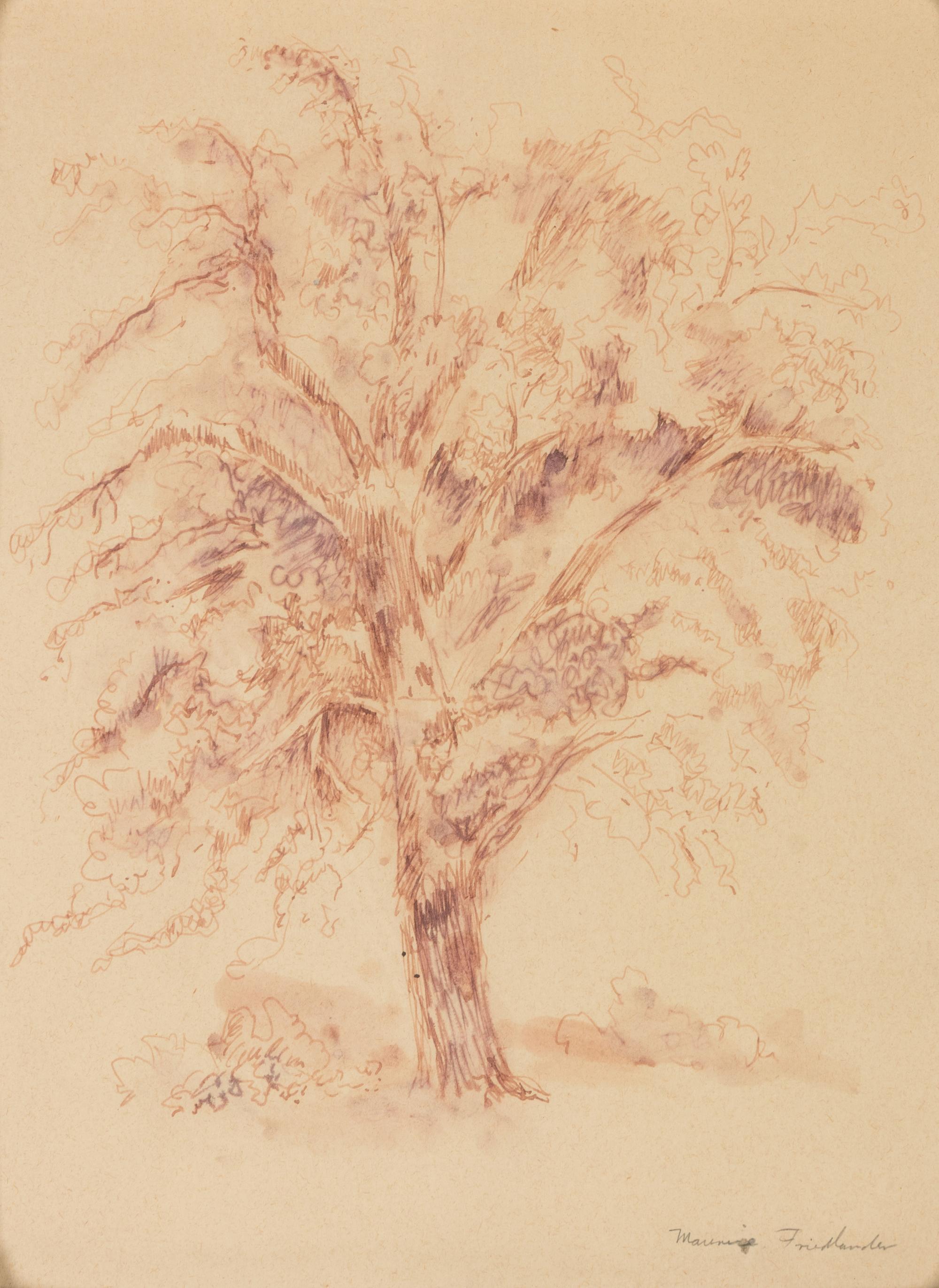 Maurice Friedlander sketch of a tree