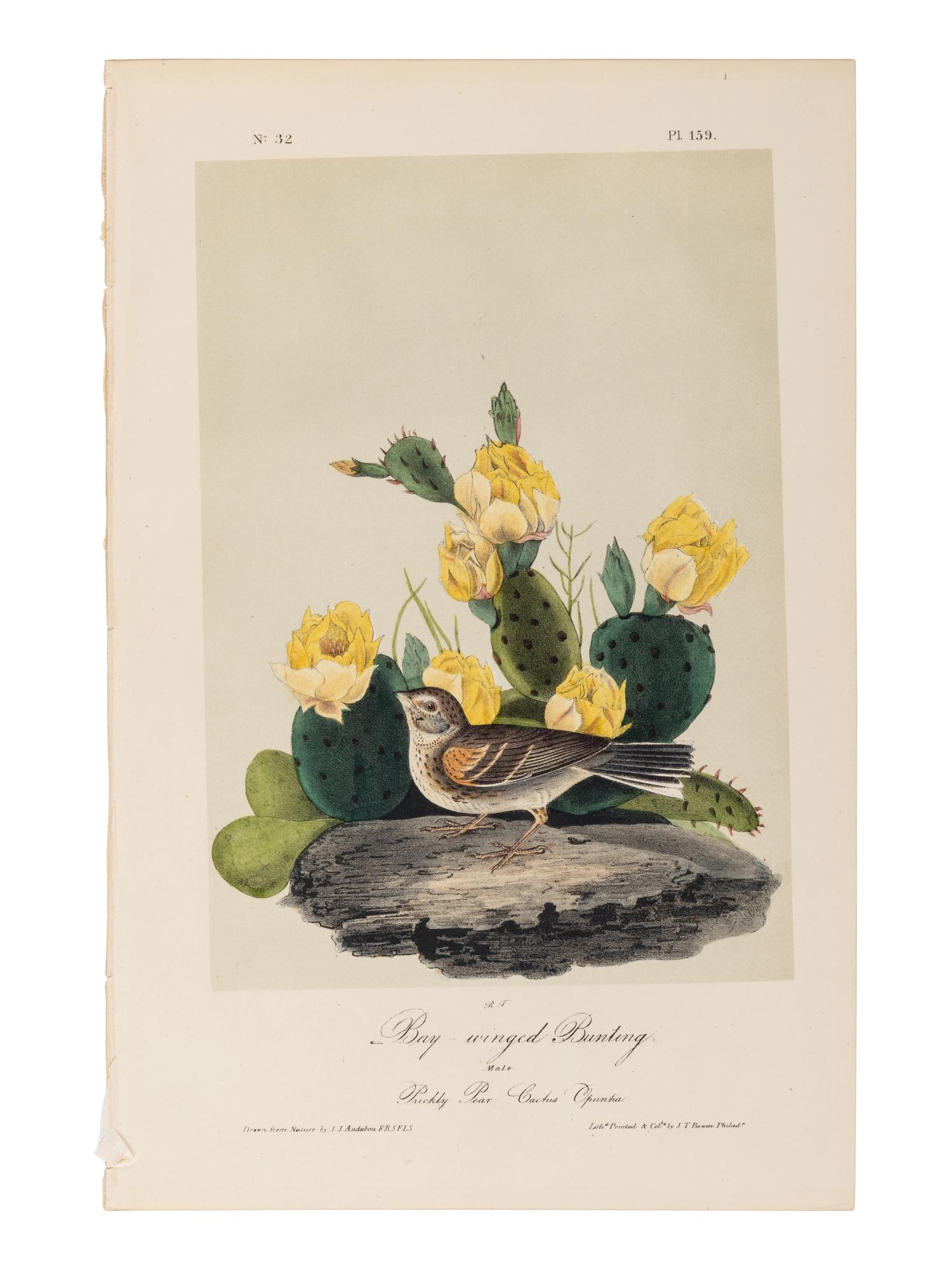AUDUBON, John James (1785-1851), after. A group of 190 octavo-format lithographs, including: