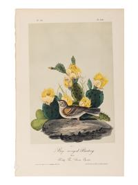 AUDUBON, John James (1785-1851), after. A group of 190 octavo-format lithographs, including: