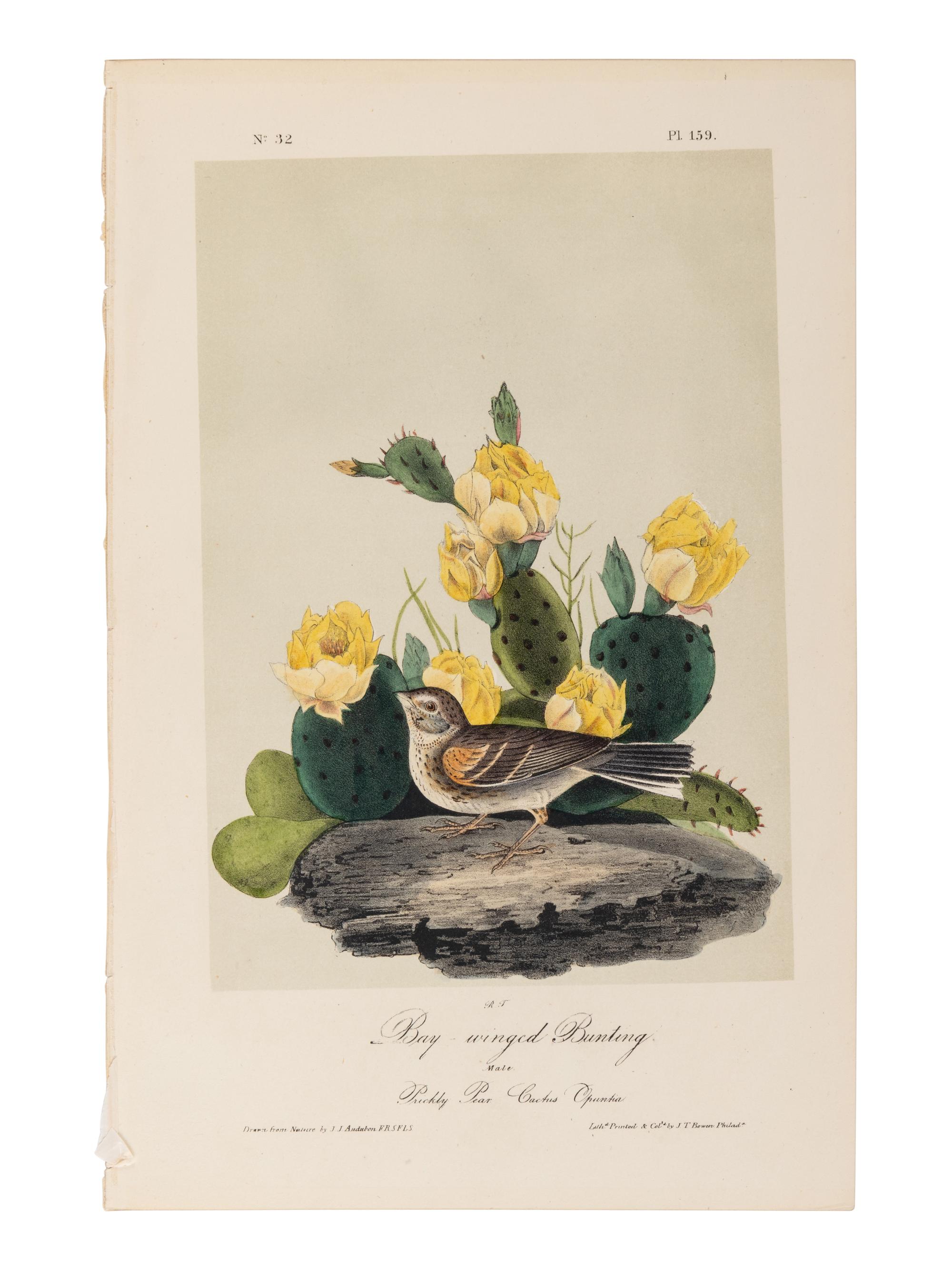 AUDUBON, John James (1785-1851), after. A group of 190 octavo-format lithographs, including: