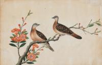 Six Chinese Export Pith Paintings